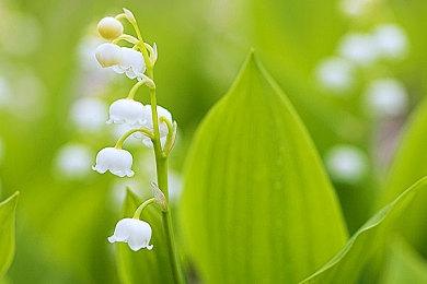 报道称索尼即时服务游戏进展不顺 多个游戏被取消